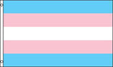 Wholesale TRANSGENDER 3 X 5 FLAG (Sold by the piece)